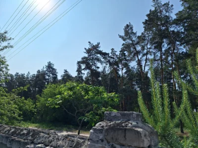 Продам будинок біля бору Жихор