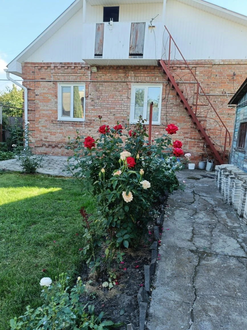 Будинок з ремонтом та доглянутим подвір'ям