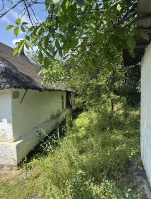 Продаж будинку в Діївці