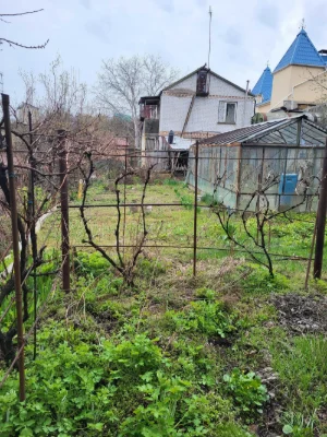 Продається житловий будинок з садибою