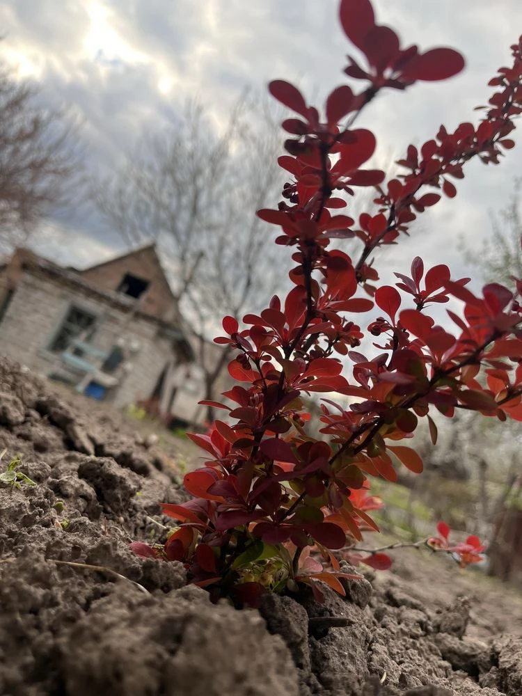 Продам дачу, є будиночок потрібен ремонт
