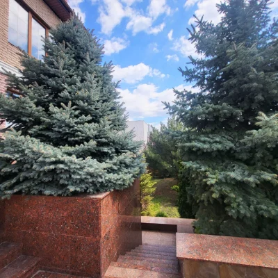 Продаж КРИПТОЙ ВЕЛИКИЙ ЛУГ 3-х поверхового будинку ЗАКРИТА т