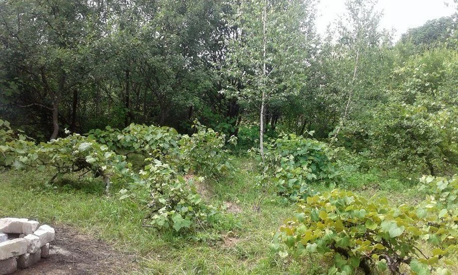 Дачний будинок, Подлипники, 112 м²