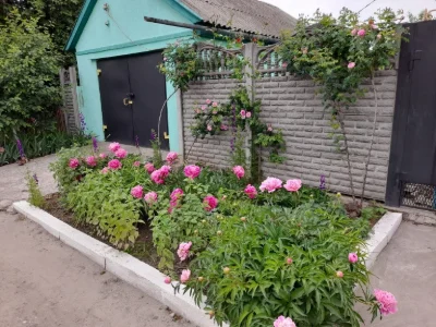 Продам свій будинок з гаражем та літньою кухнею