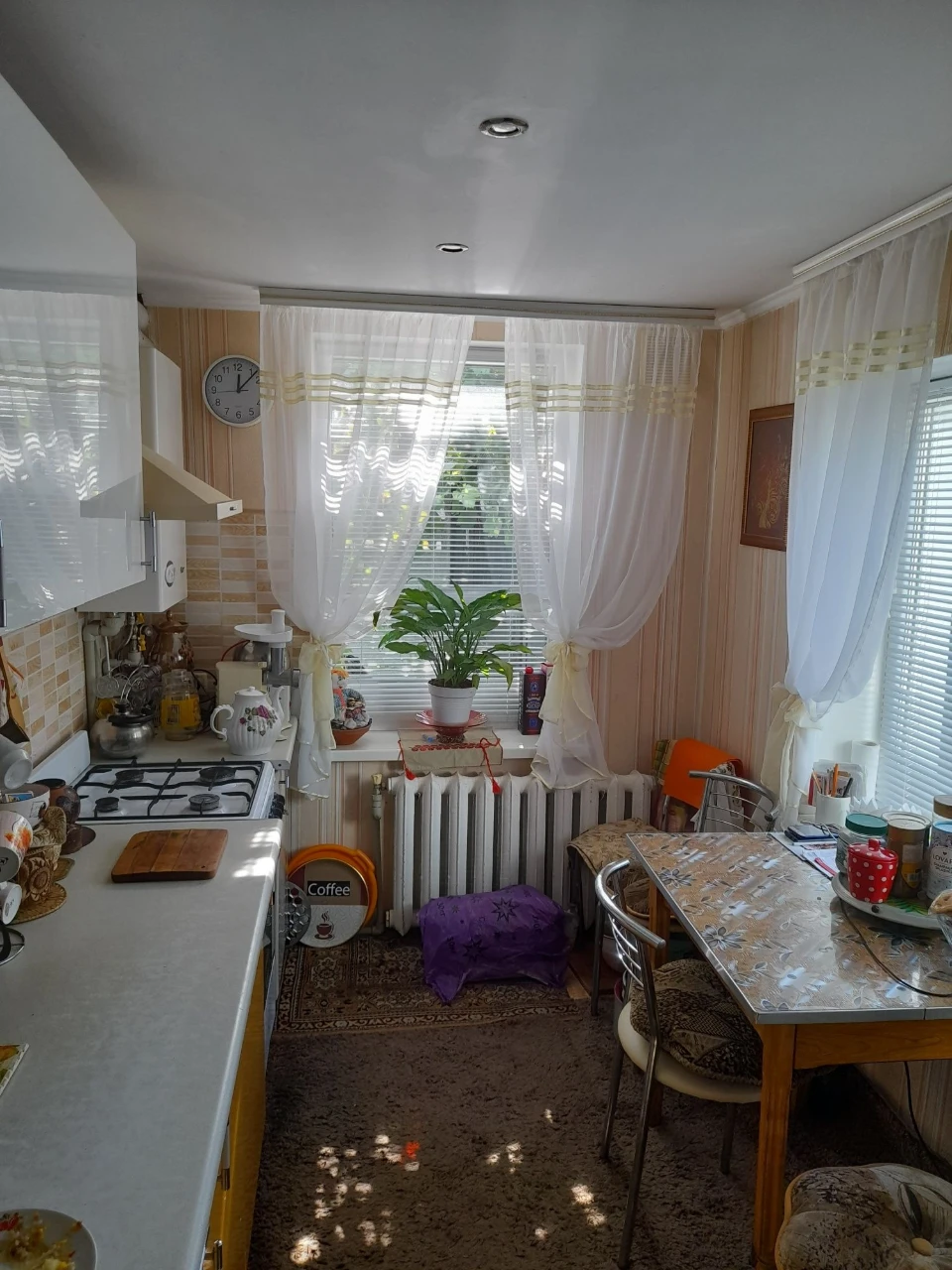 Продам свій будинок з гаражем та літньою кухнею