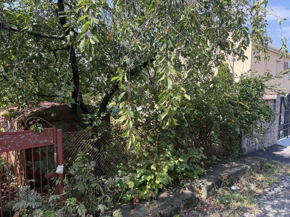 Земельна ділянка в Вінниці, р-н вул. Бучми, власник