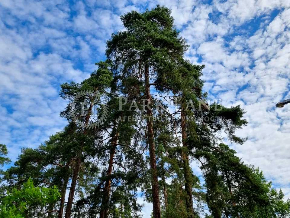 Квартира. Київ, Павла Петриченка вул.