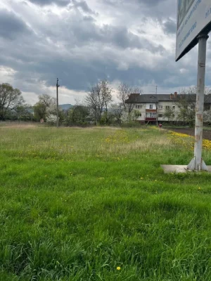 Продаж земельної ділянки Мамаївці