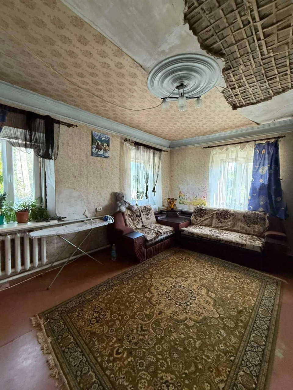 Будинок з власним подвір'ям по Панаса Мирного