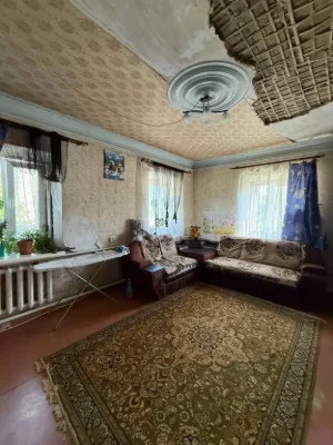 Будинок з власним подвір'ям по Панаса Мирного