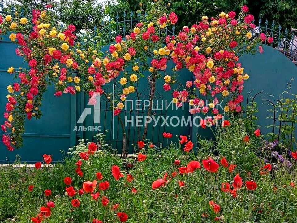 Будинок. Одеса, Костанді вул.