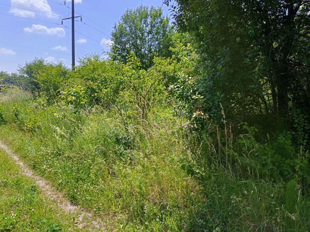 Продається дачна ділянка в Дем'яновому Лазі