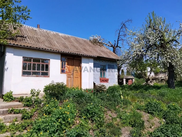 Будинок Книжуівці