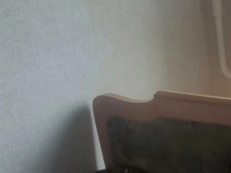 Квартира. Дніпро, Богдана Хмельницького просп.