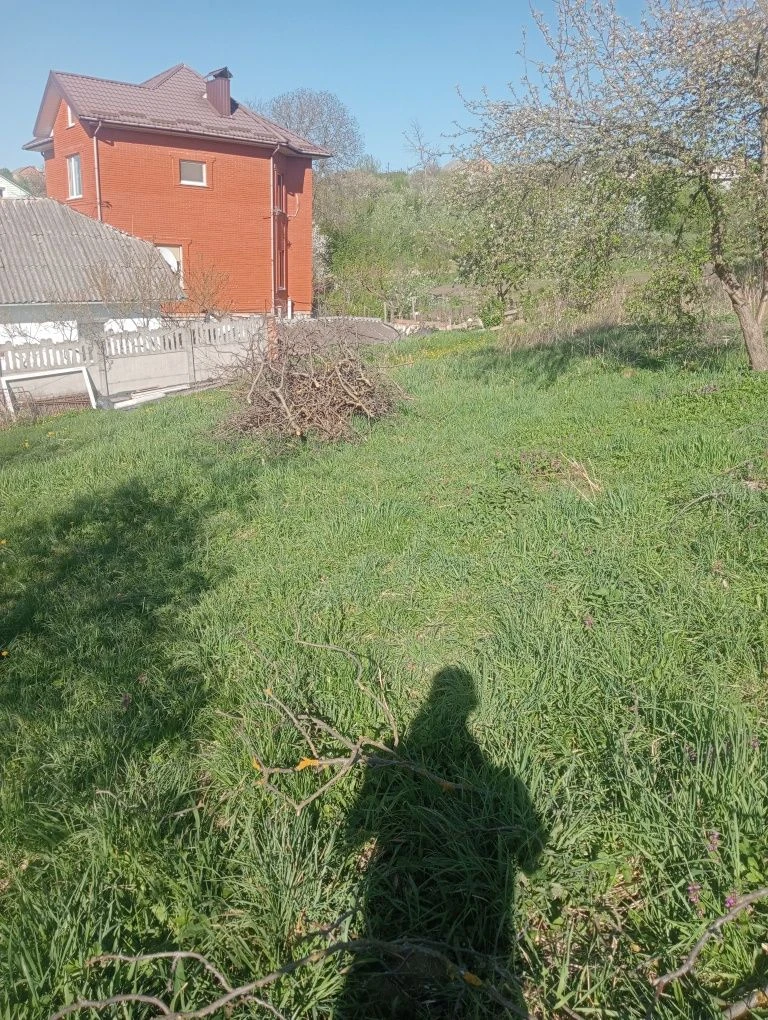 Земельна ділянка