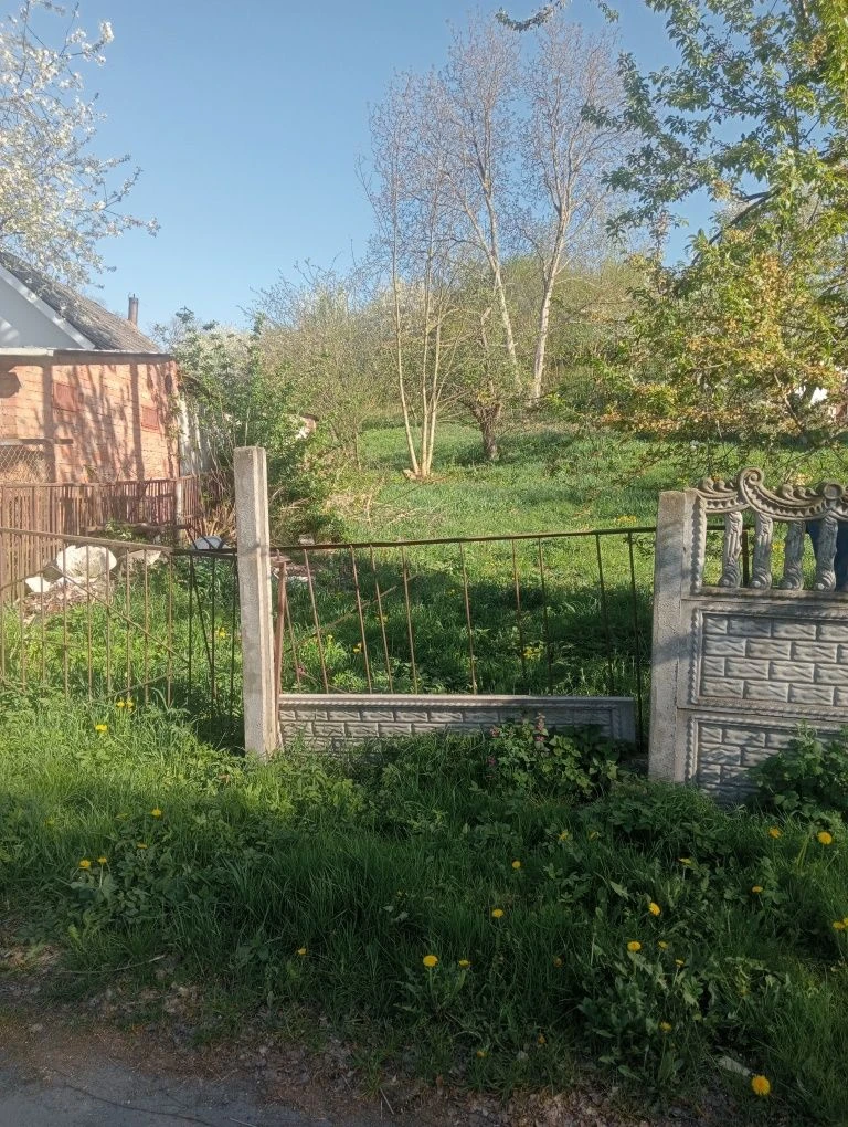Земельна ділянка