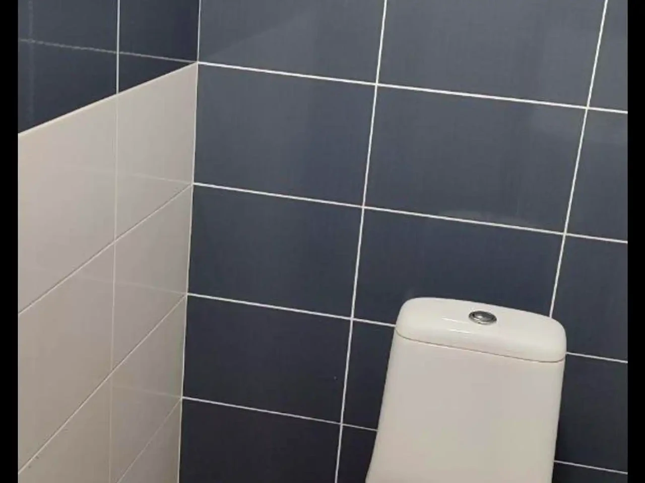 Оренда квартири 1-кімн. 56 м² 23/25 пов.