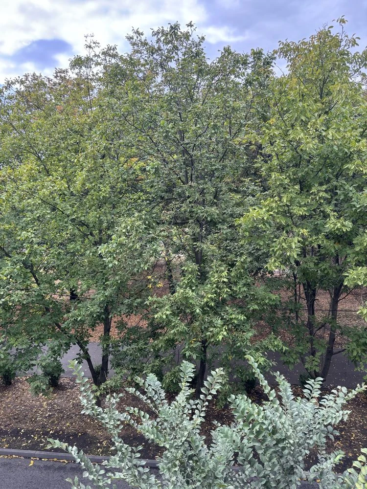 Продажа  2-х комн.квартира центр Вознесеновский 55кв.м.