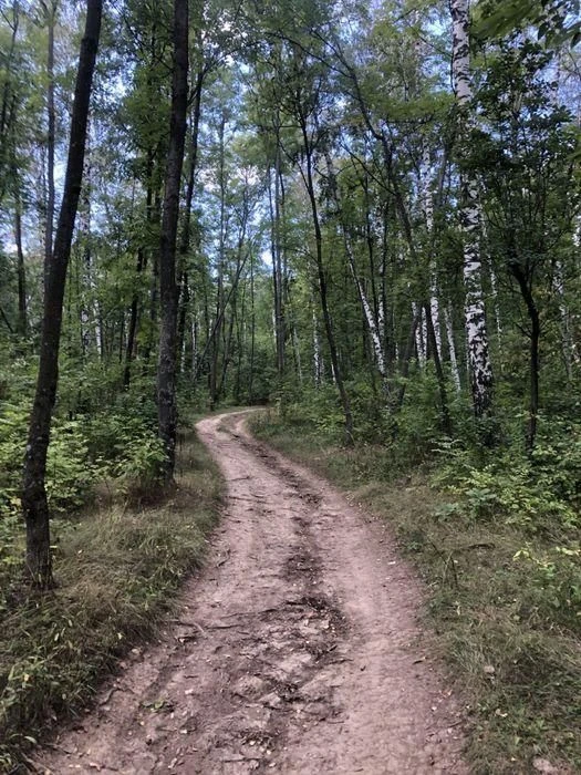 Будинок 430 м2,10 соток. Лиса Гора