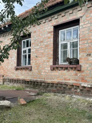 Будинок поруч зі ставком
