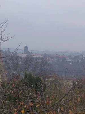 Будинок Ближня Роша