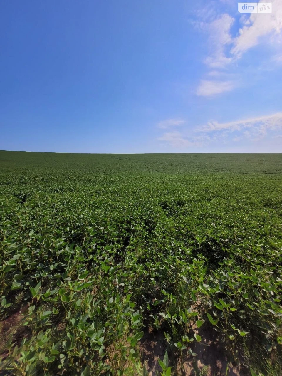 Продаж Ділянка під житлову забудову