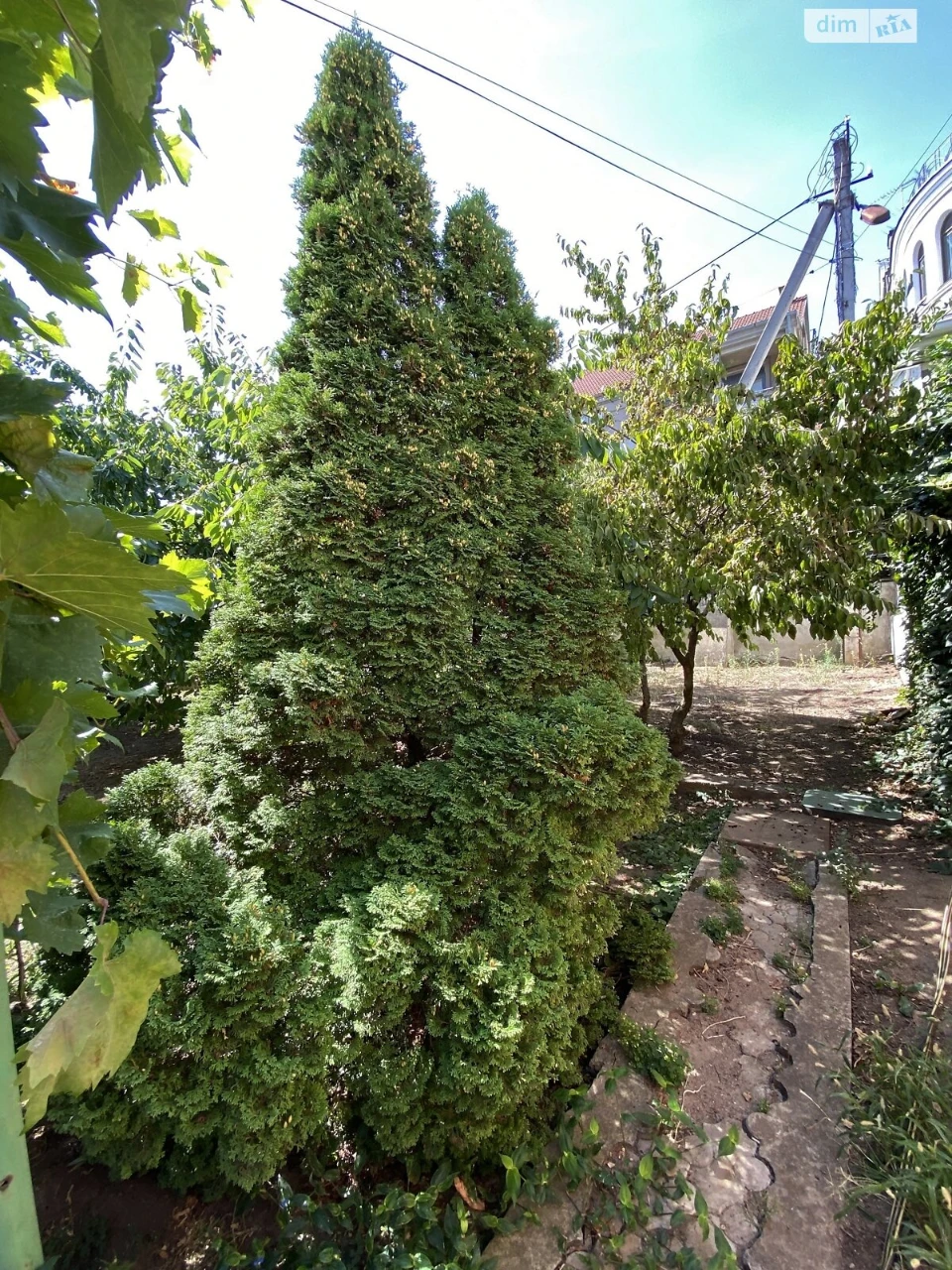 Продаж Дім Центральний