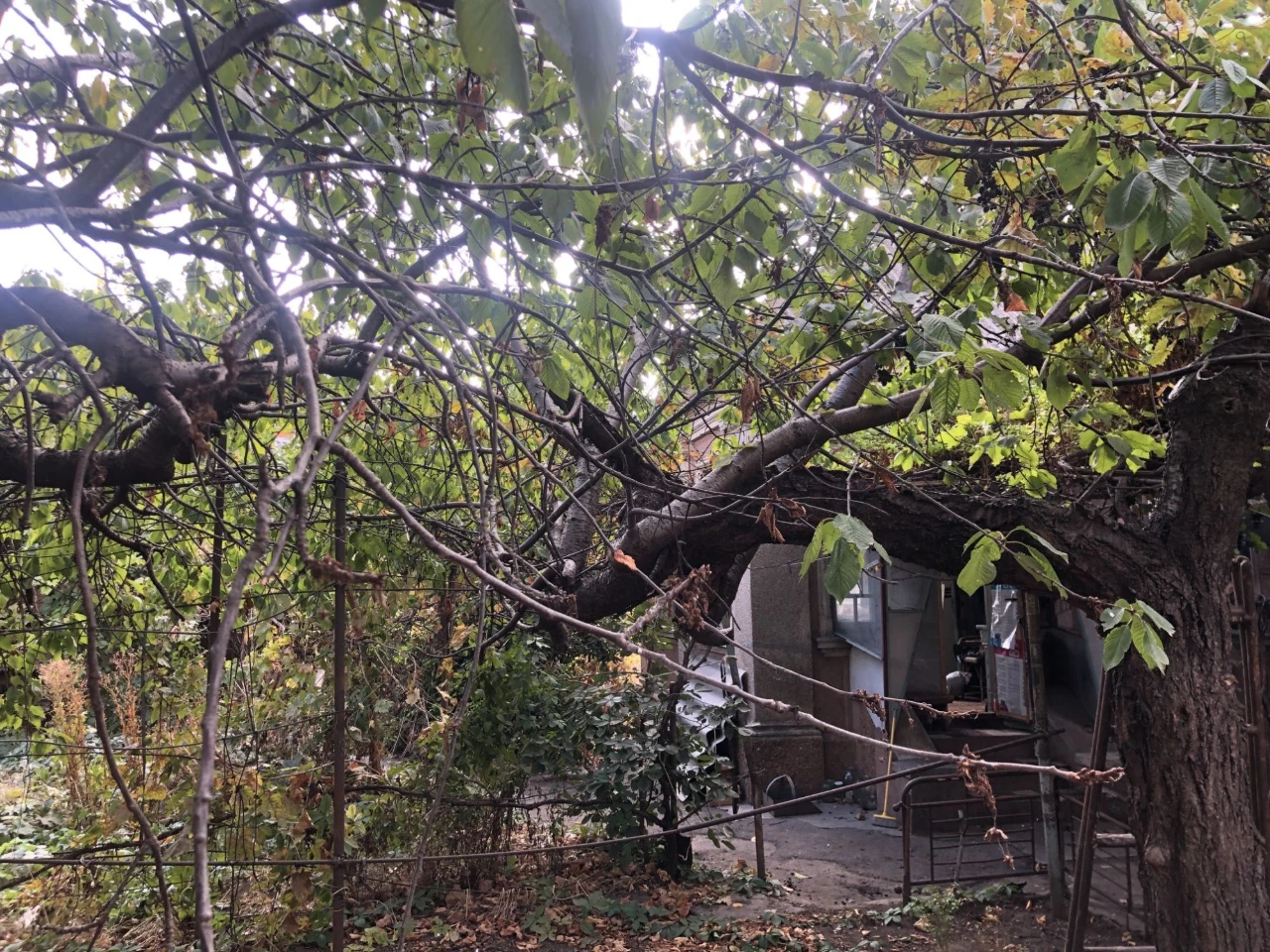 В продаже 6 соток земли в Киевском районе, недалеко от моря!