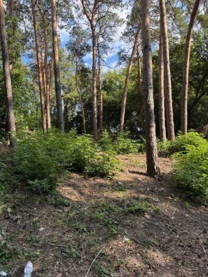 Земельна ділянка  на Лісопарковій з дозвільними документами