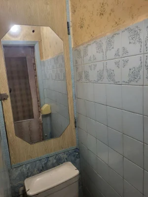 Продаж 1-кімнатної квартири 38 м², Виноградар, просп. Свобод