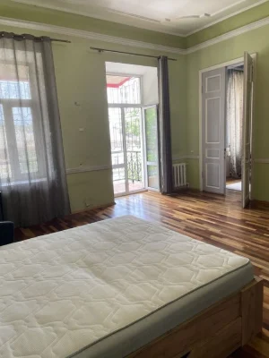Продажа большой квартиры в центре 320м. Базарная Канатная Осипо