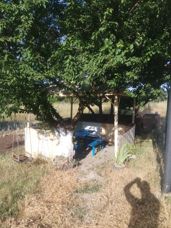 I would like to recommend a dacha in the city