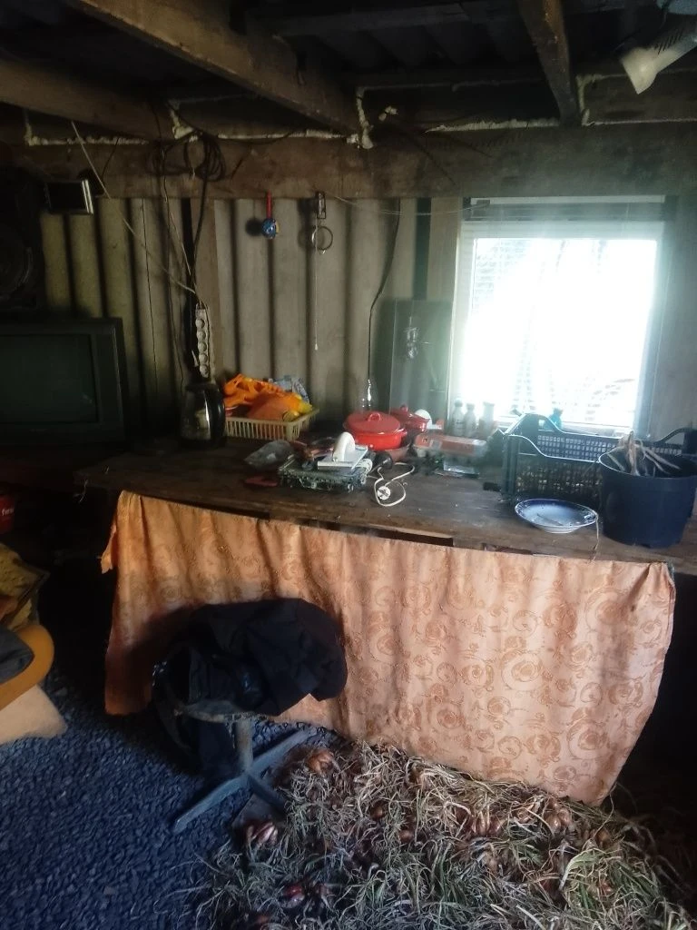 Породой дачу в городе