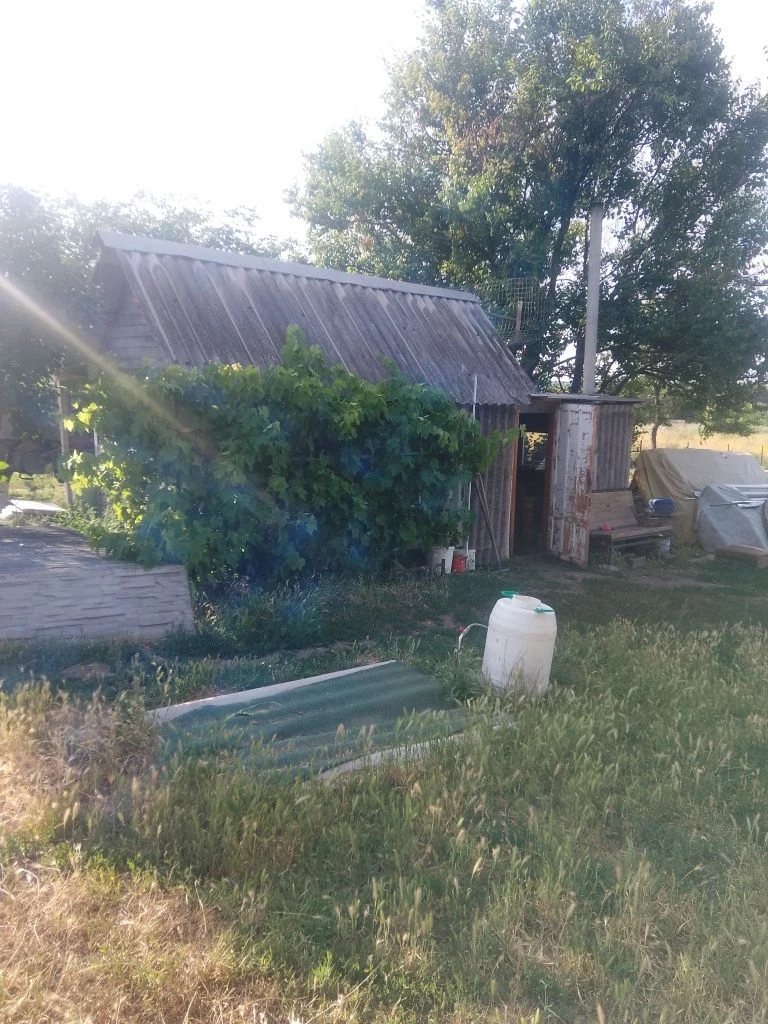 Породой дачу в городе