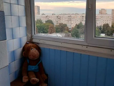 Квартира. Харків, Салтівське шосе