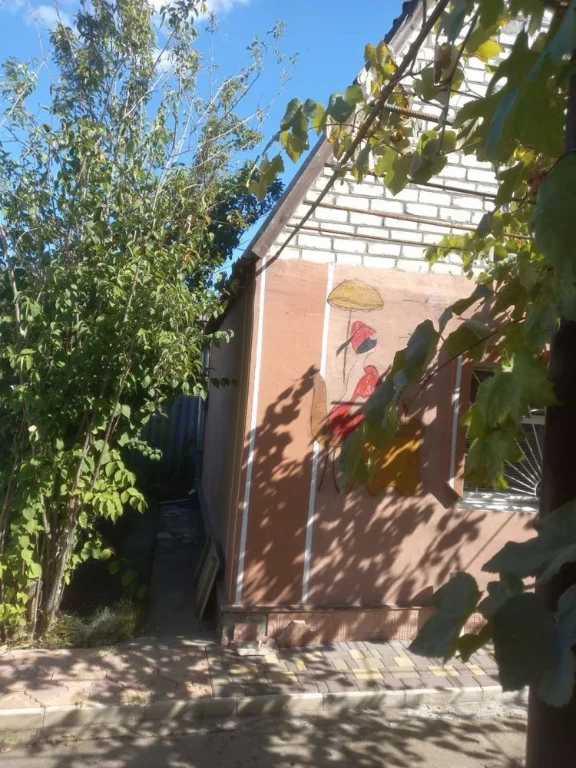 Продам дачу в кооперативі Будівельник