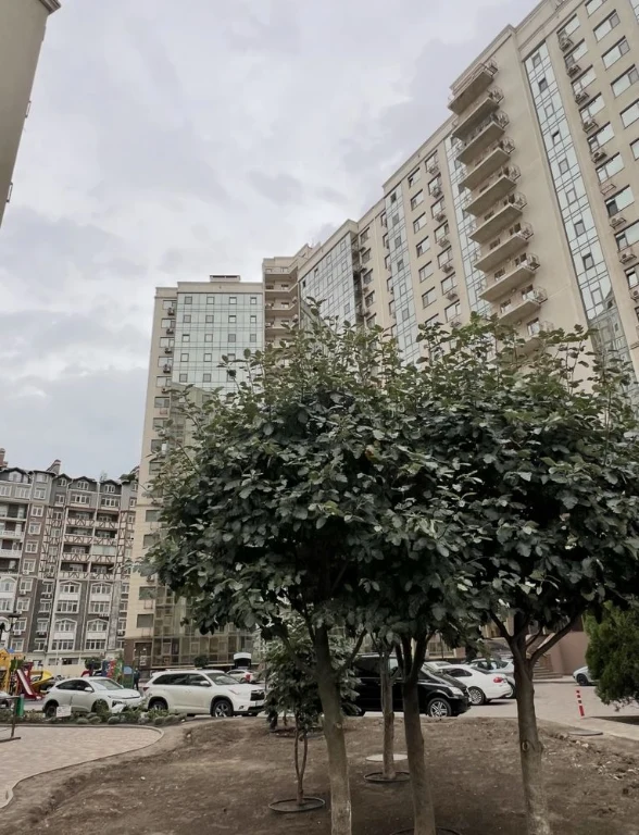 Квартира, где тишина, комфорт и море — ВАША ПОВСЕДНЕВНАЯ РЕА