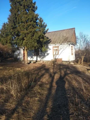 Продам будинок з ділянкою