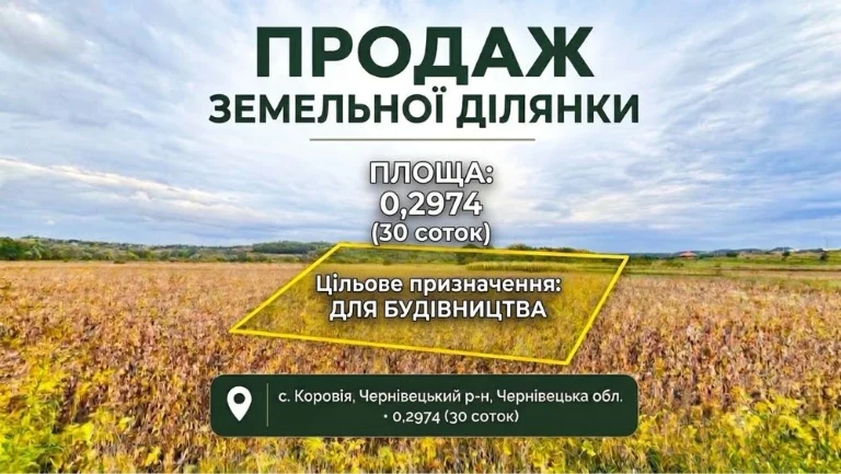 Sale of a 30-acre plot of land