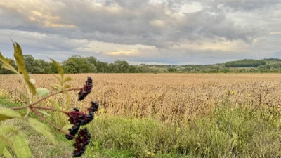 Продажа земельного участка в 30 соток
