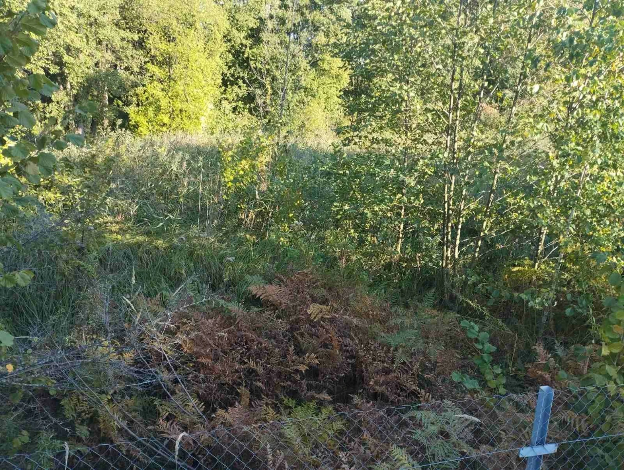 Земельный участок с озером, дом в селе Ясногородка  Вышгород
