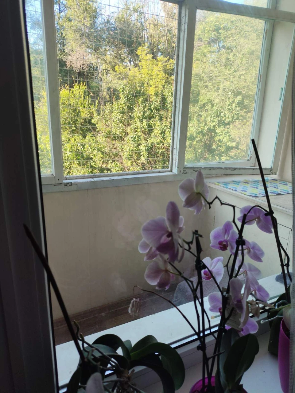 Sale of a 2-bedroom apartment on Pavlo Glazovy Street