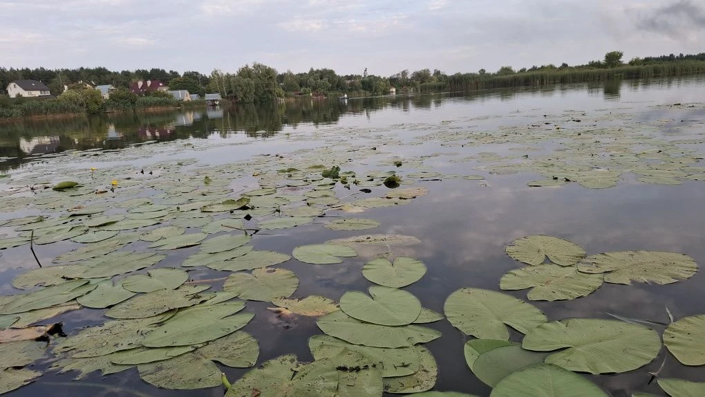 Продажа дачи в районе Дамбы, выход к реке Козинке. С другой стороны.