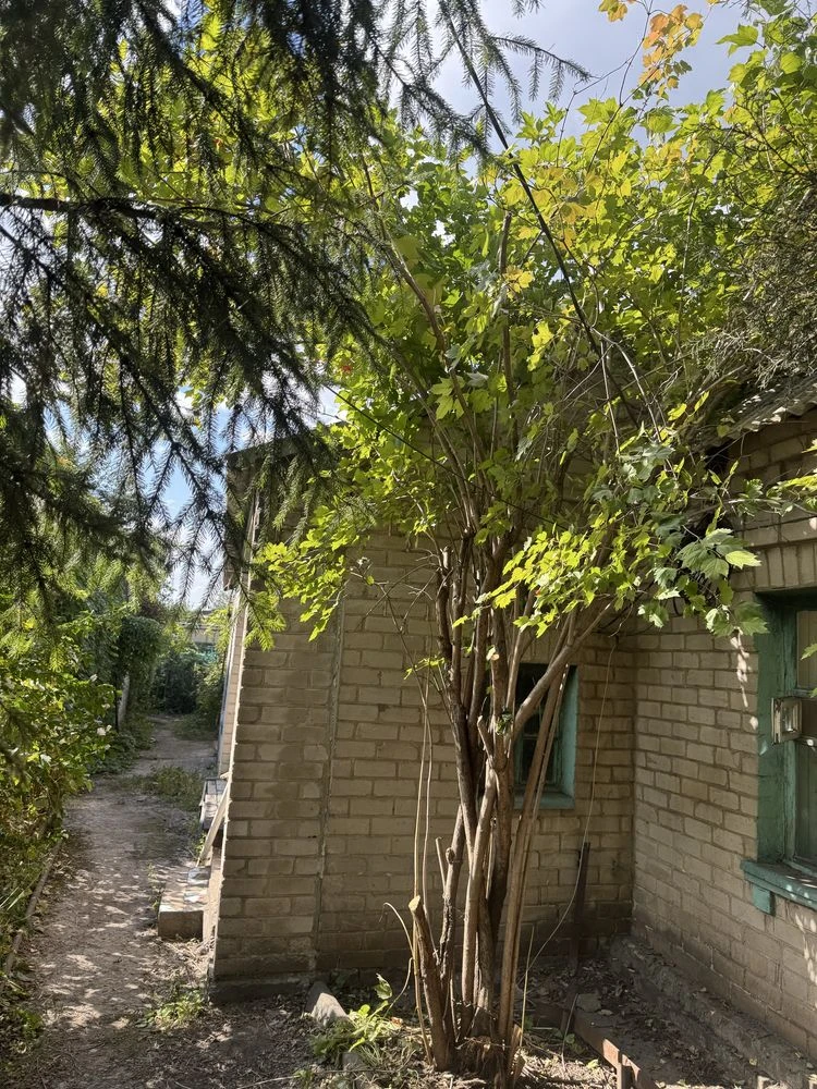 Продам будинок Зелений яр