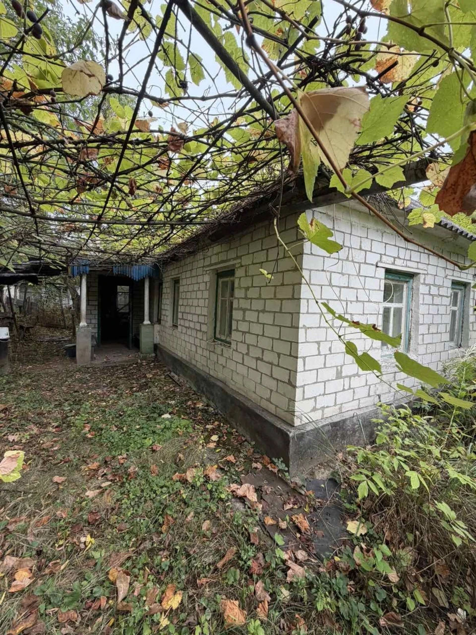 Продажа дома в селе Балаклея