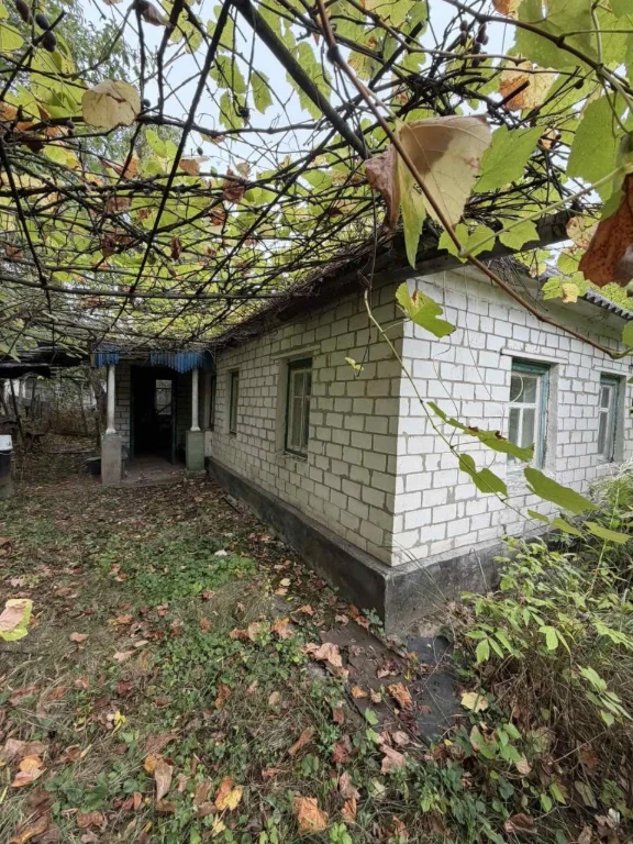 Selling a house in the village of Balakleya.