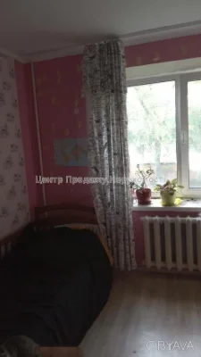 2-room apartment, 53 sq. m.