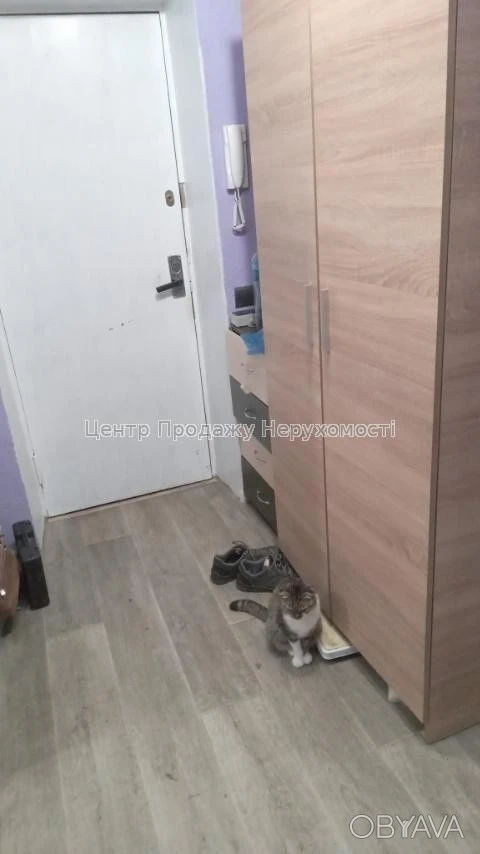 2-room apartment, 53 sq. m.