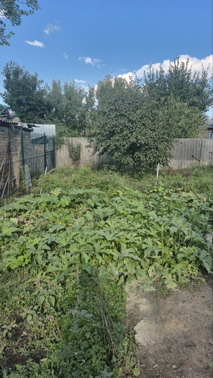 половина будинку на кущівці від власника, без ріелтора