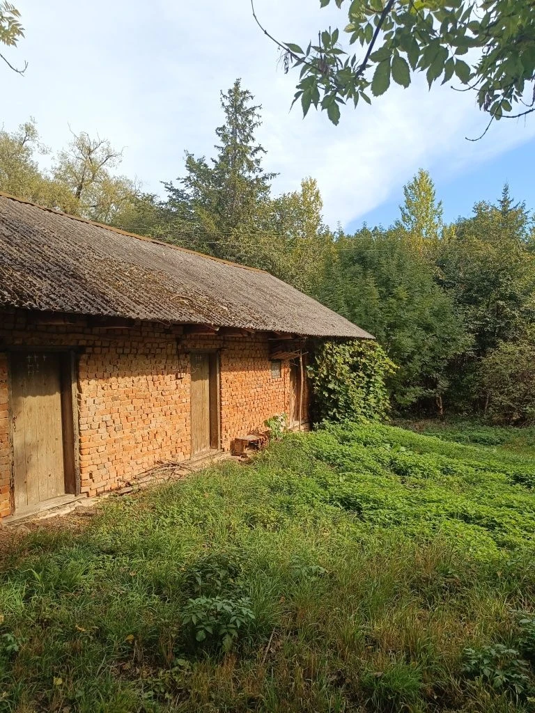 Продається земельна ділянка під лісом село Озерна 85 сотих